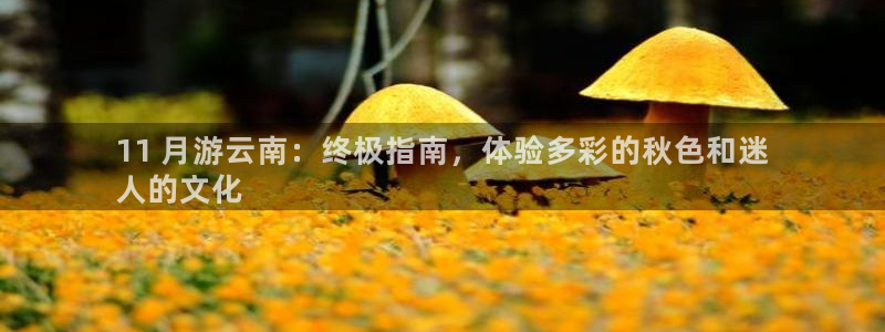 云顶注册送38的网站