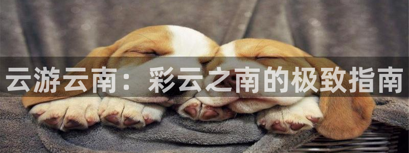 云顶国际|云游云南：彩云之南的极致指南