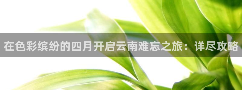 云顶集团官方网站入口